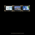Durutti Column - Return Of The Durutti Column (45th Anniversary) (Vinyl) (US Import)
