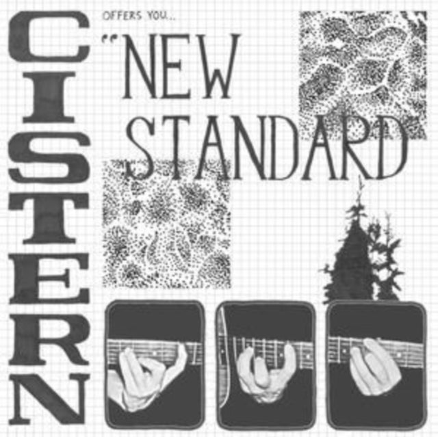Cistern - New Standard (Vinyl) (US Import)