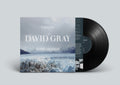 David Gray - Life In Slow Motion (20th Anniversary Edition) (Vinyl) (US Import)