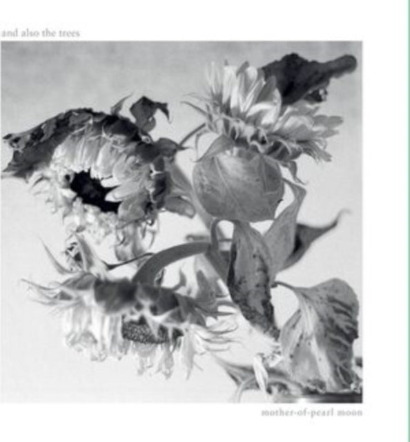 & Also The Trees - Mother-Of-Pearl Moon (CD) (US Import)
