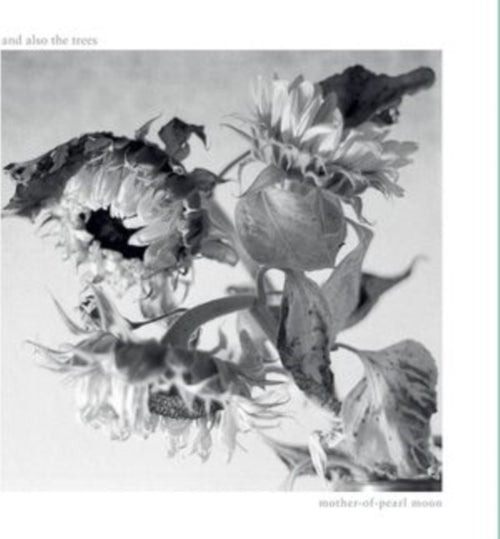 & Also The Trees - Mother-Of-Pearl Moon (CD) (US Import)
