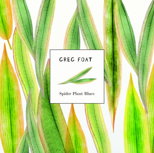 Greg Foat - Spider Plant Blues (Vinyl Single) (US Import)