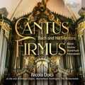 Nicola Dolchi - Cantus Firmus - J.S. Bach Through His Mentors (CD) (US Import)