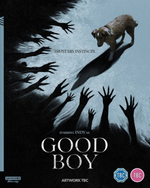 Good Boy (4K Blu-ray) (Region A US Import)