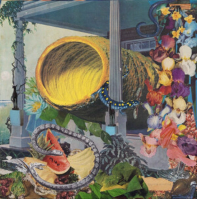 Memotone - Pruning (Vinyl) (US Import)