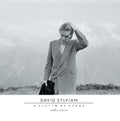 David Sylvian - Victim Of Stars 1982 - 2012 (CD)
