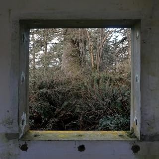 Derek Hunter Wilson - Sculptures (Vinyl) (US Import)