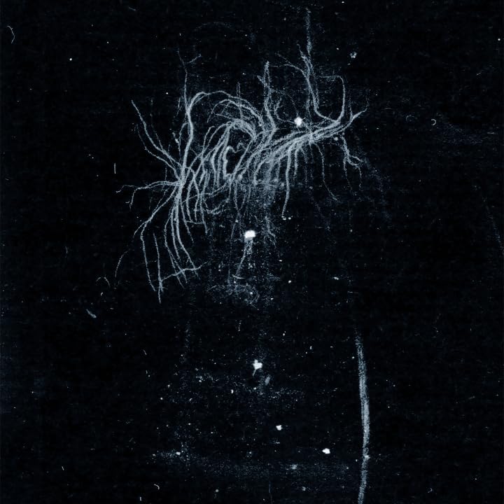 My Heart, An Inverted Flame - My Death Is More Beautiful Than Your Life (CD) (US Import)