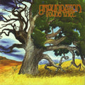 Groundation - Young Tree (CD) (US Import)