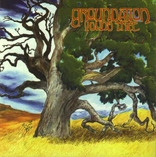 Groundation - Young Tree (CD) (US Import)