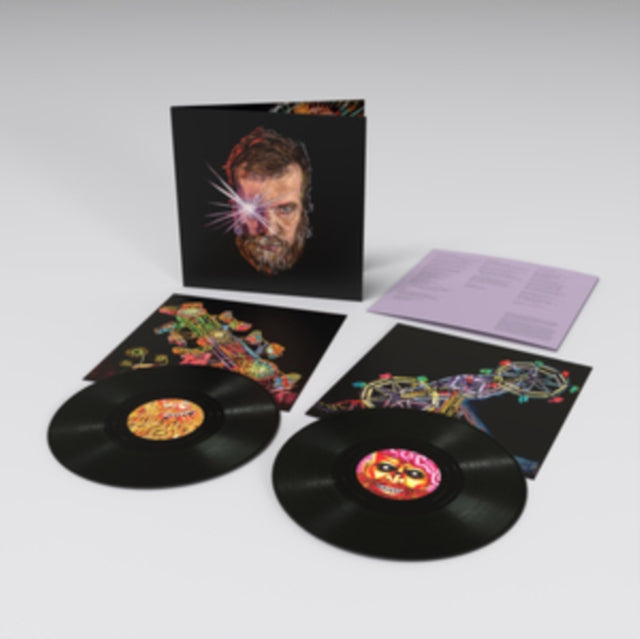 John Grant - Boy From Michigan (2LP) (Vinyl) (US Import)