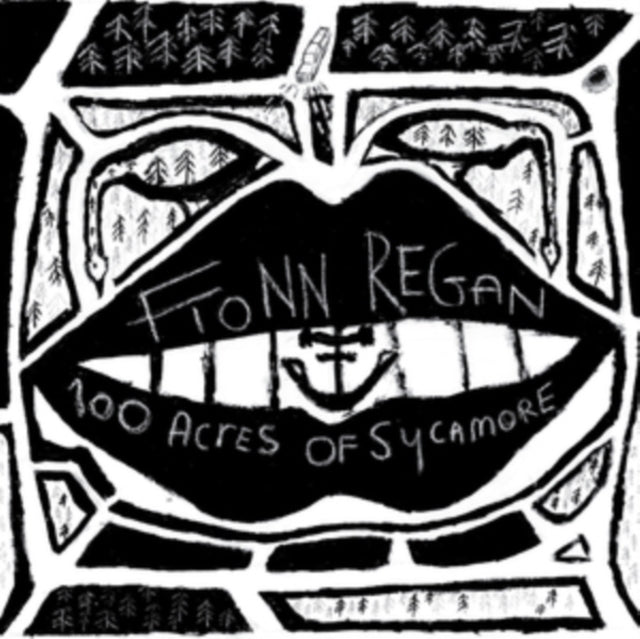 Fionn Regan - 100 Acres Of Sycamore (Vinyl) (US Import)
