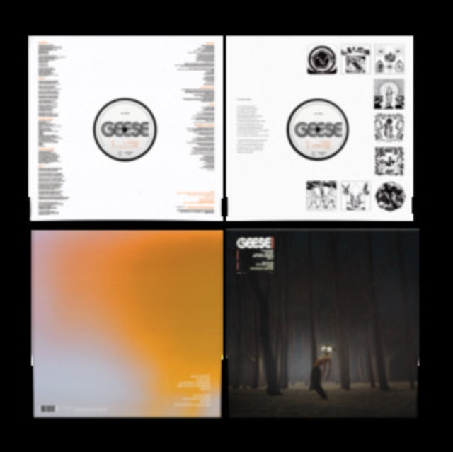 Geese - Projector (Vinyl) (US Import)