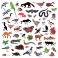 Modern Nature - Island Of Noise (CD)