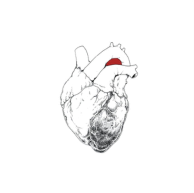 Swans - Beggar (Vinyl) (US Import)