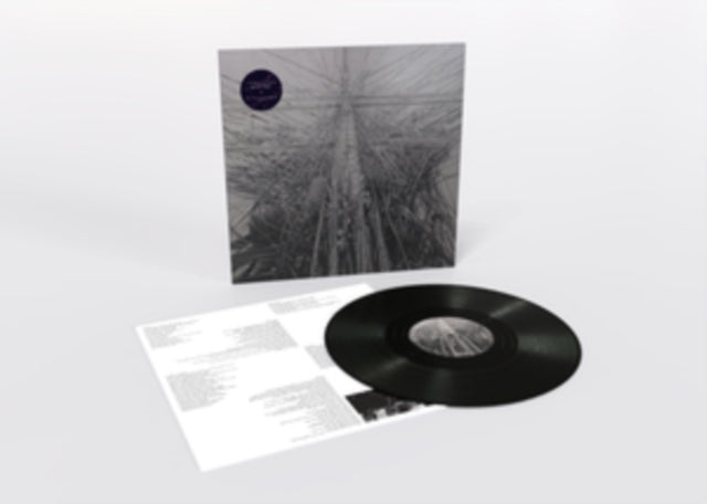 Dyer,Arone & Stargaze - Arone Dyer & Stargaze (Vinyl) (US Import)