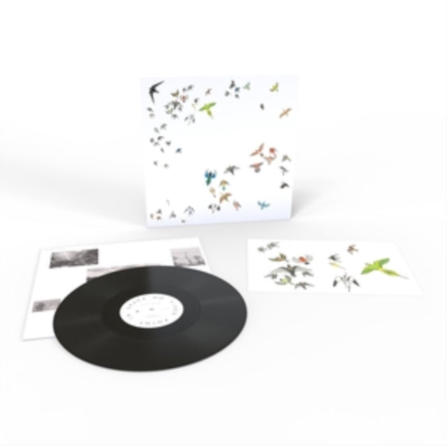 Modern Nature - No Fixed Point In Space (Vinyl) (US Import)