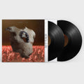 Soap&Skin - Torso (Vinyl) (US Import)