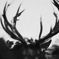 Ihsahn - Ihsahn (Orchestral Version) (CD/Book) (CD)