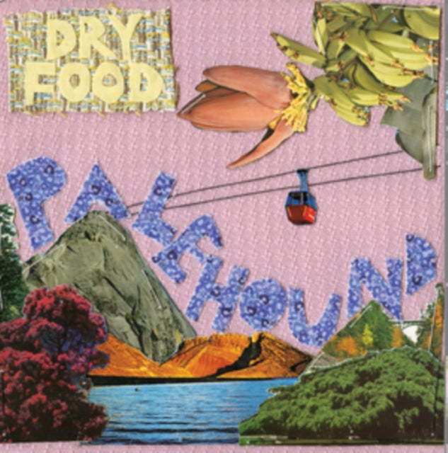 Palehound - Dry Food (CD)