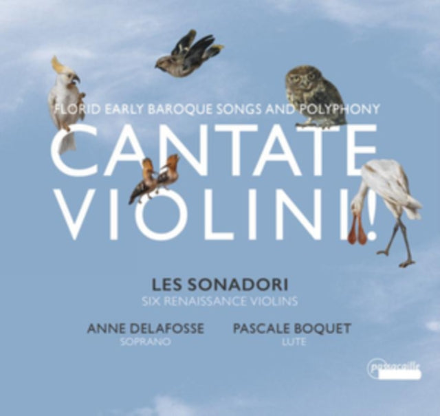 Les Sonadori ; Pasquale Boquet; Anne Delafosse - Florid Early Baroque Songs And Polyphony (CD)