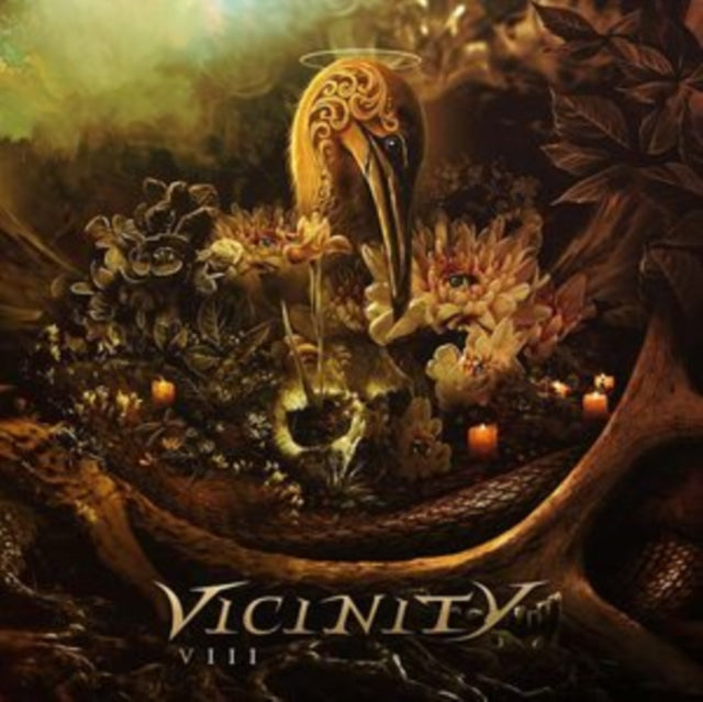 Vicinity - VIII (2LP) (Vinyl) (US Import)
