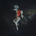 Hail Spirit Noir - Fossil Garden (Orange/Red Vinyl) (Vinyl) (US Import)