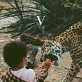 Unknown Mortal Orchestra - V (5) (CD) (US Import)