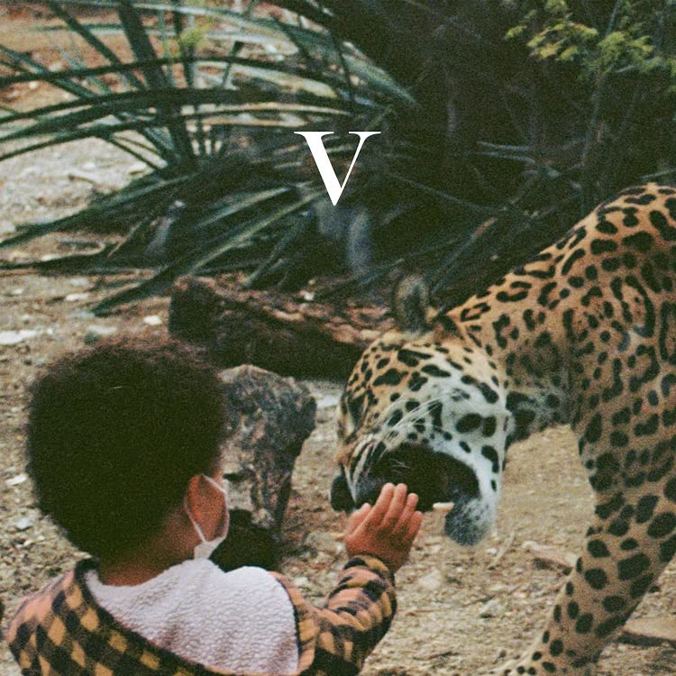 Unknown Mortal Orchestra - V (5) (CD) (US Import)