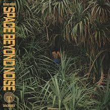 Not Even Noticed - Space Beyond Noise (Vinyl) (US Import)