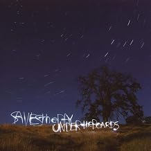 Saves The Day - Under The Boards (Vinyl) (US Import)