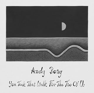 Andy Boay - You Took That Walk For The Two Of Us (Vinyl) (US Import)