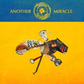 Steve 'N' Seagulls - Another Miracle (Vinyl) (US Import)