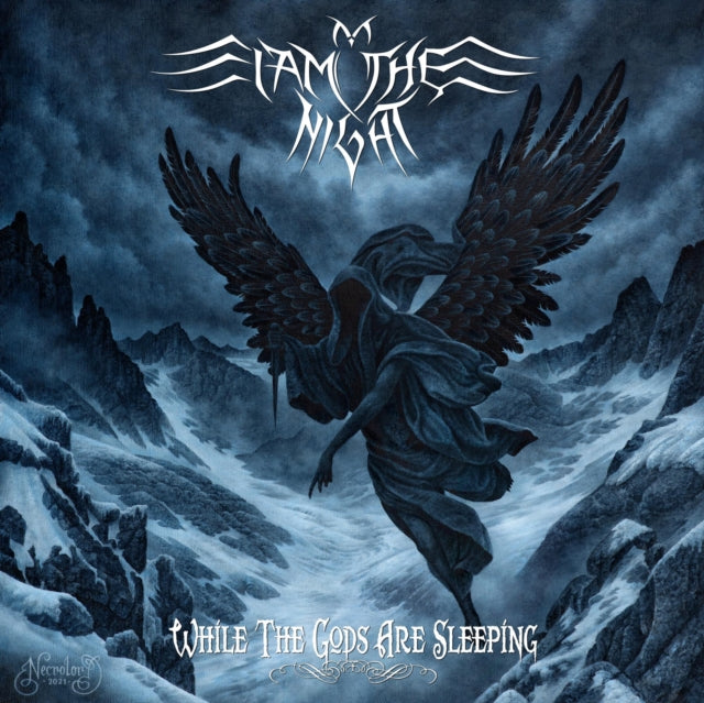 I Am The Night - While The Gods Are Asleep (Vinyl) (US Import)