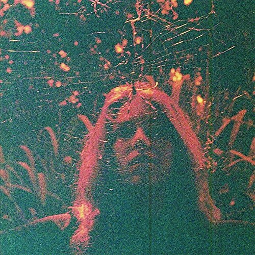 Turnover - Peripheral Vision (Clear Orange Vinyl) (Vinyl) (US Import)