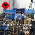 Brutter - Reveal And Rise (Vinyl) (US Import)