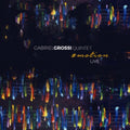 Gabriel Grossi Quintet - Motion (Vinyl) (US Import)