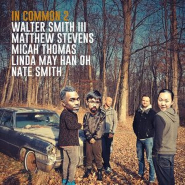 Smith Iii,Walter & Matthew Stevens - In Common 2 (Vinyl) (US Import)