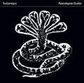Turbonegro - Apocalypse Dudes (CD) (US Import)