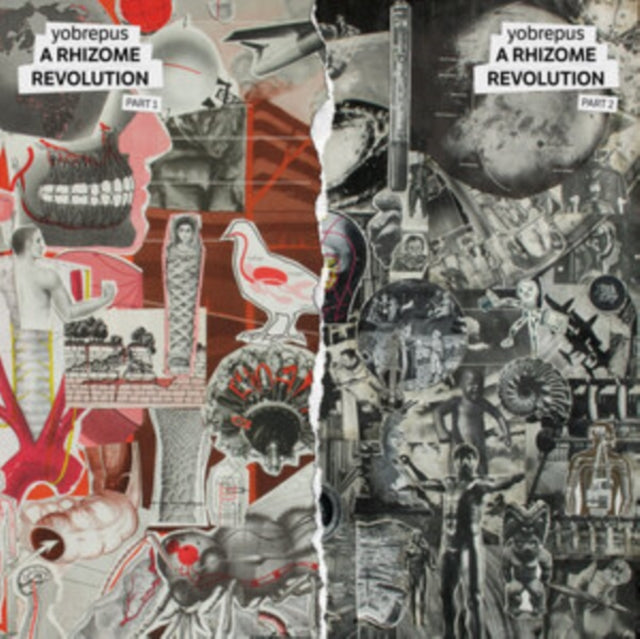 Yobrepus - Rhizome Revolution Part 1 (CD)