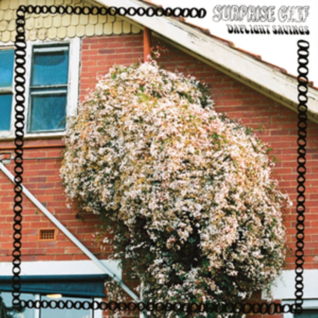 Surprise Chef - Daylight Savings (CD)