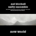 Nat Unity Ensemble Birchall - New World (Vinyl) (US Import)
