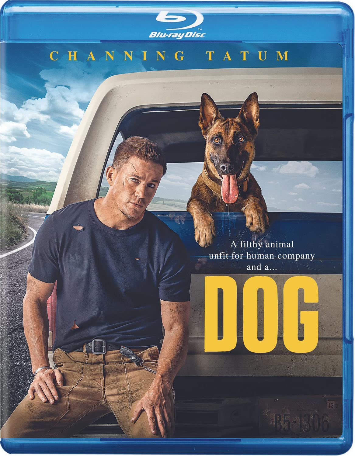 Dog (Blu-ray) (Region A US Import)