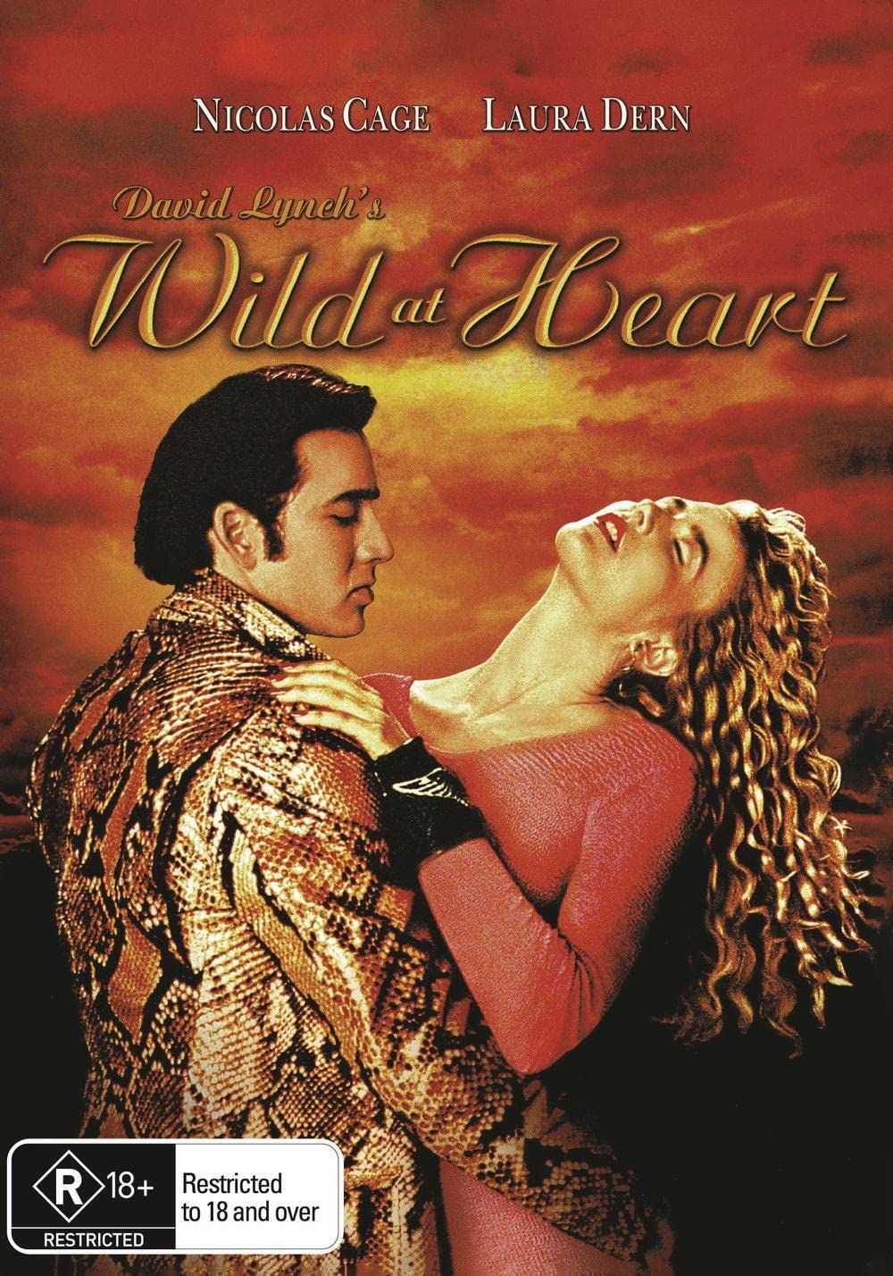 Wild At Heart (DVD) (Region 1 US Import)