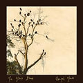 Glass Hours - Chapel Glass (CD) (US Import)