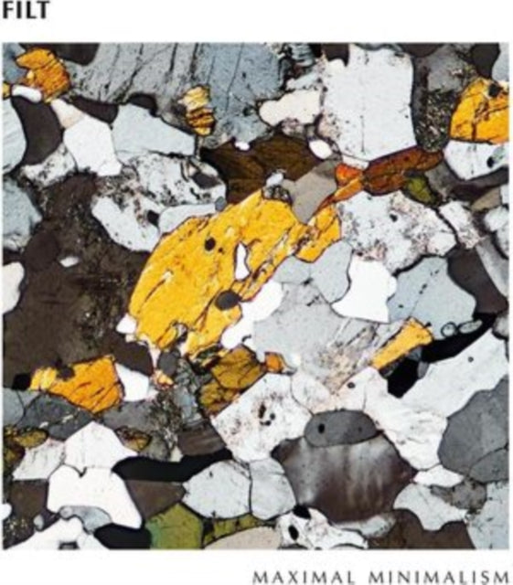 Filt - Maximal Minimalism (Vinyl) (US Import)