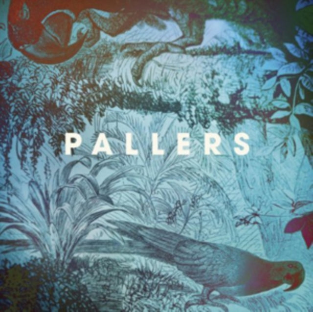 Pallers - Sea Of Memories (Vinyl) (US Import)