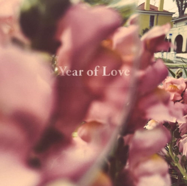 Beta Radio - Year Of Love (Vinyl) (US Import)