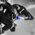 Port Noir - Cuts (X) (Vinyl) (US Import)