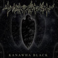 Nechochwen - Kanawha Black (CD)